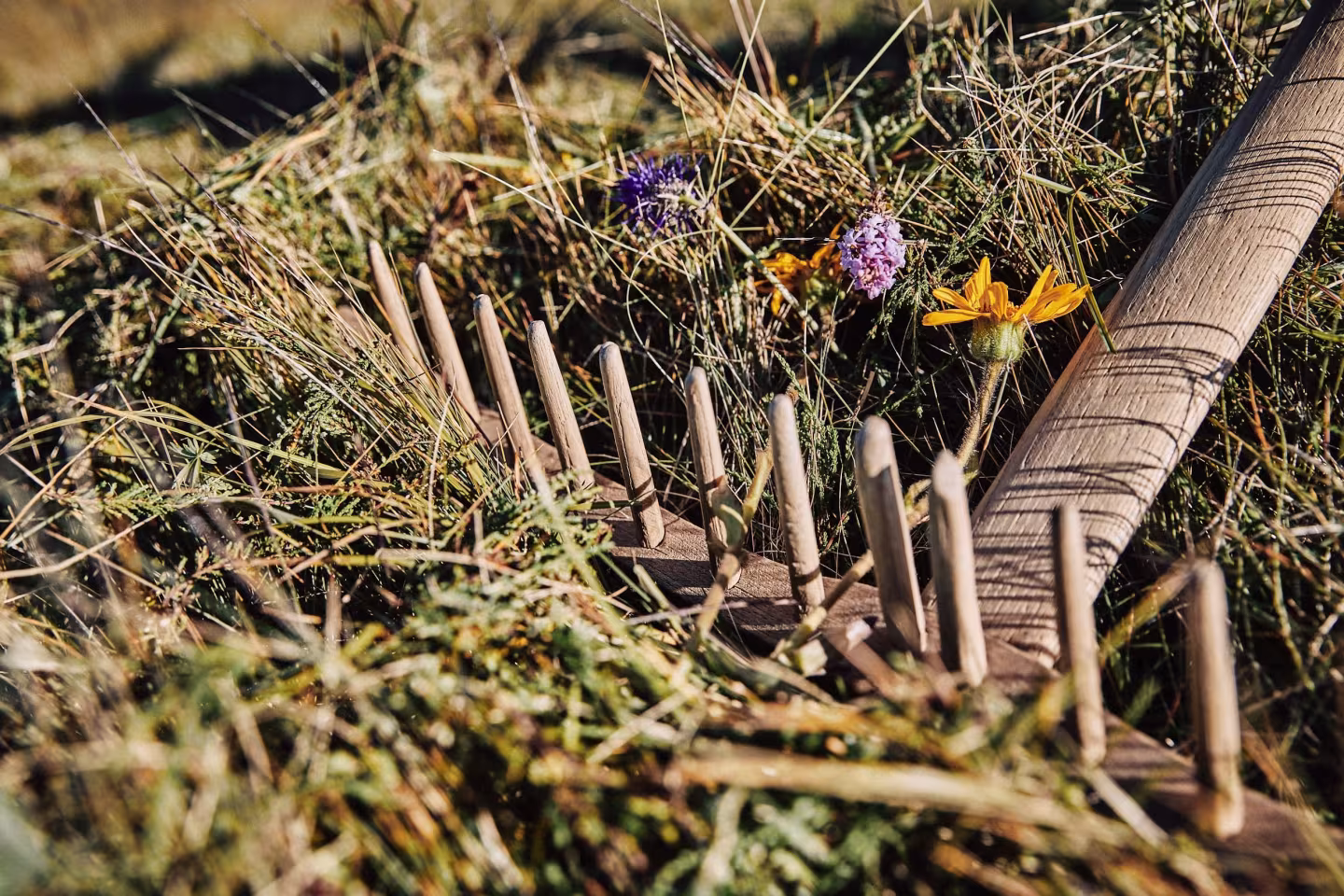 Natur Pendelleuchte Konus von LeuchtNatur aus Almwiese, handgefertigte Premium-Qualität, umweltfreundliches Design, ideale nachhaltige Beleuchtungslösung für Ihr Zuhause. - das Bild 2