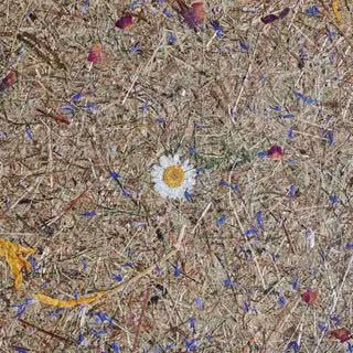 Almwiese Lampenschirm mit echten Bergwiesenblumen - handgefertigtes Naturmaterial aus den Alpen