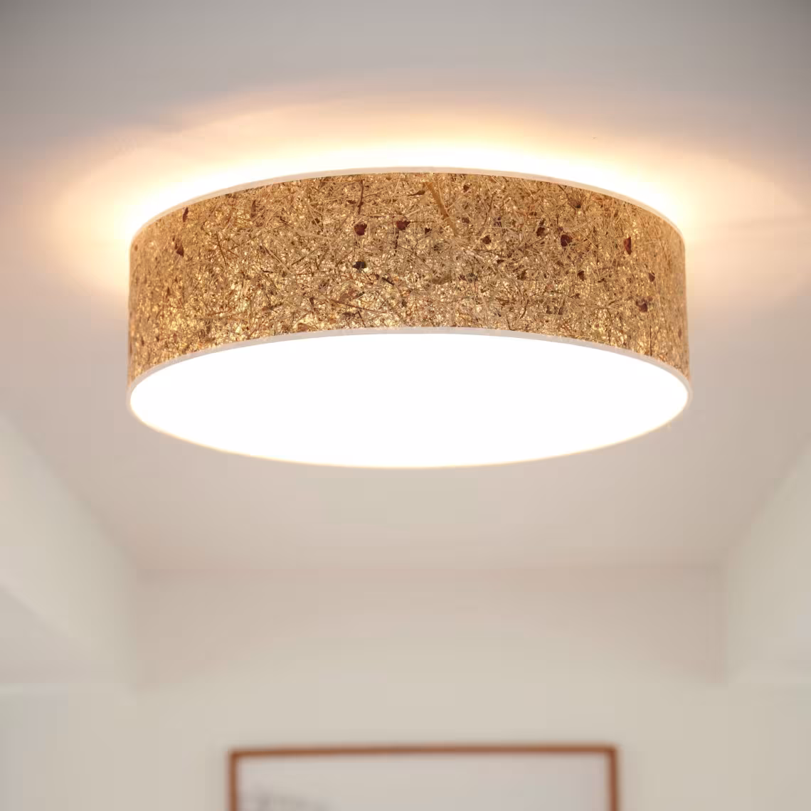 Naturlampe Discus Deckenleuchte aus Rosenholz, handgemacht, umweltfreundlich, 5 Jahre Garantie, LeuchtNatur. - das Bild 1