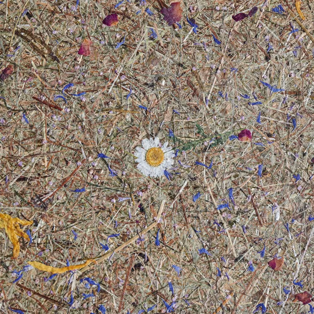 Ligno Holz Stehlampe von LeuchtNatur, handgefertigt aus natürlichen Materialien, umweltfreundlich, 5 Jahre Garantie. - das Bild 4