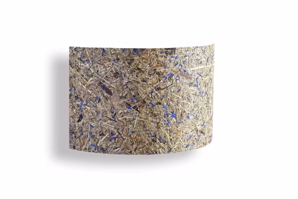 Natur Wandleuchte Cortex von LeuchtNatur | Handgefertigte Kornblumenlampe aus Holz, nachhaltig und umweltfreundlich.