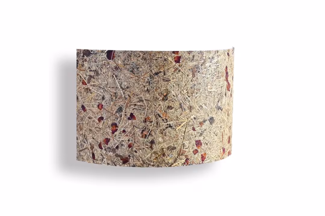 Handgefertigte Natur Wandleuchte aus Rosenblüten von LeuchtNatur, umweltfreundlich und stilvoll für Ihr Zuhause.