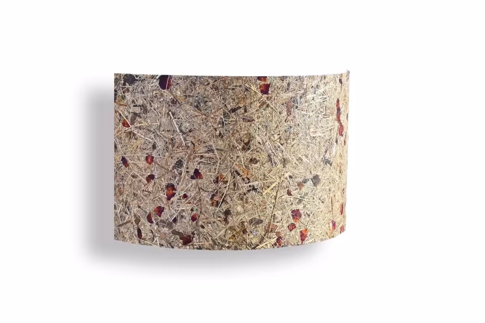 Handgefertigte Natur Wandleuchte aus Rosenblüten von LeuchtNatur, umweltfreundlich und stilvoll für Ihr Zuhause.