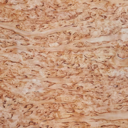 Birke Holzfurnier hell mit feiner Maserung für skandinavische Lampenschirme - LeuchtNatur