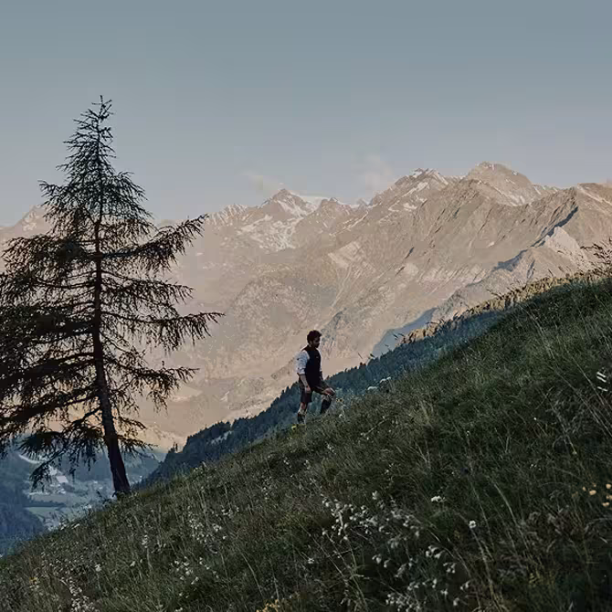 LeuchtNatur: Über uns & unsere Geschichte